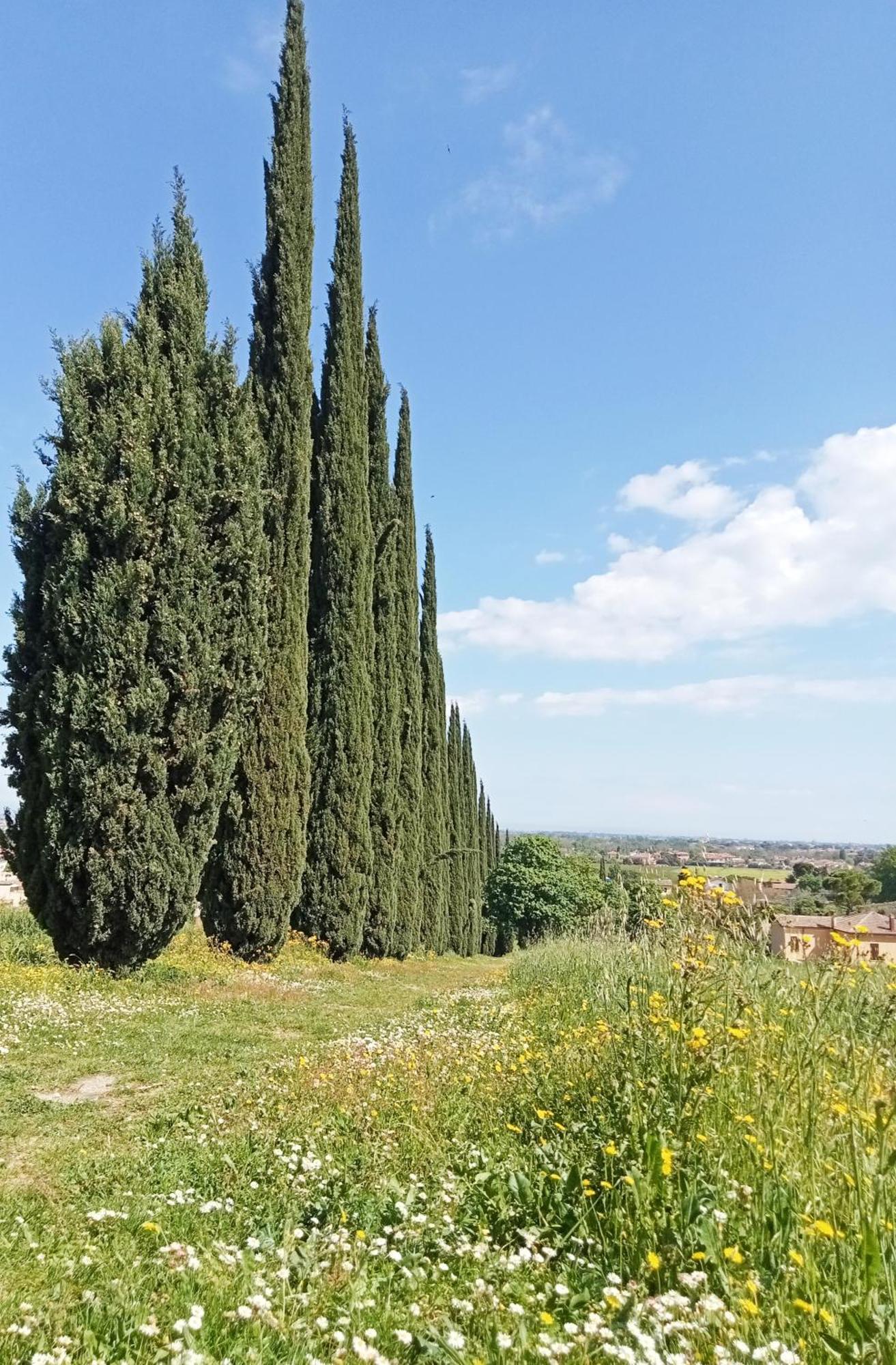 דירות SantʼArcangelo di Romagna Casalice מראה חיצוני תמונה
